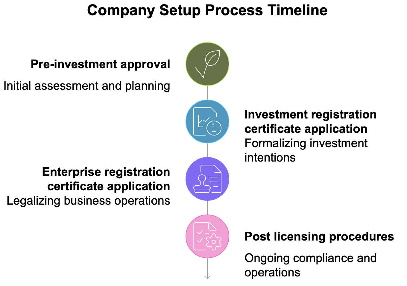 Process step by step set up company - LHD Law Firm 