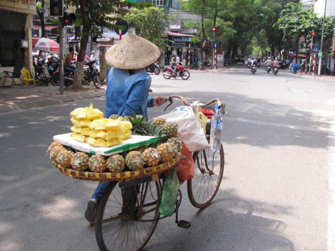 Setup Representative Office In Vietnam