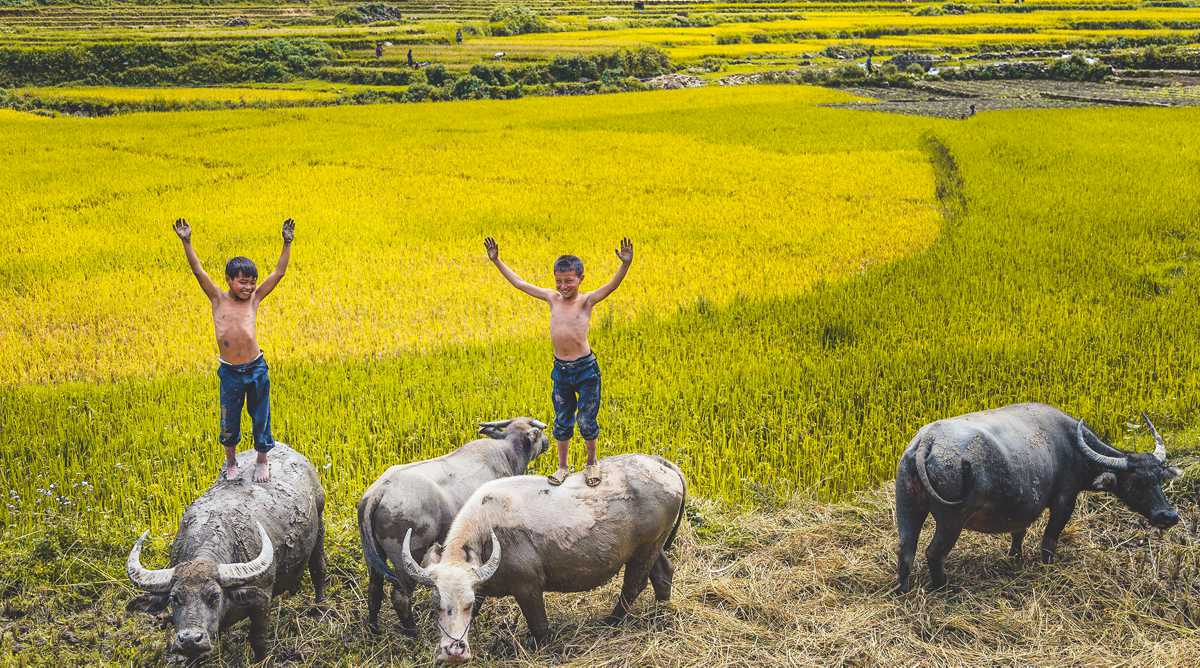 How to Set Up a Vietnam Travel Agency: Key Steps and Lessons from the Best Travel Agencies in Vietnam