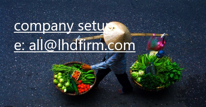 Setting up a business vietnam 